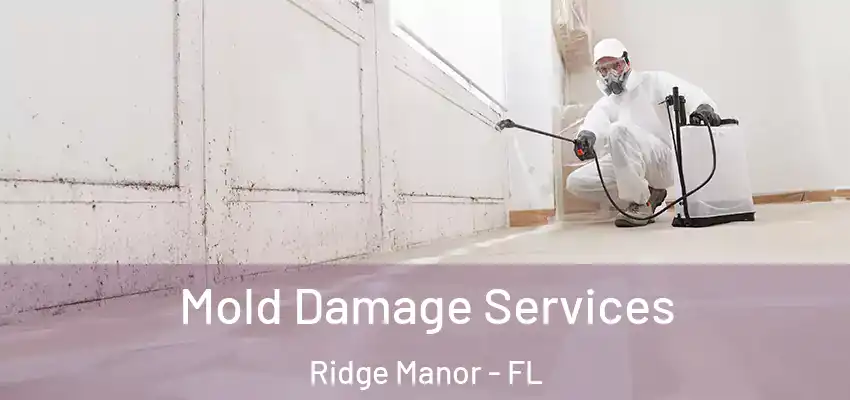 Mold Damage Services Ridge Manor - FL