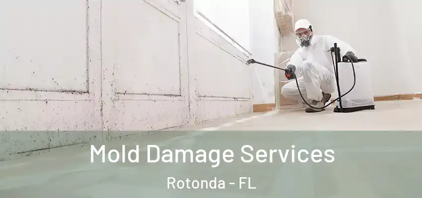Mold Damage Services Rotonda - FL
