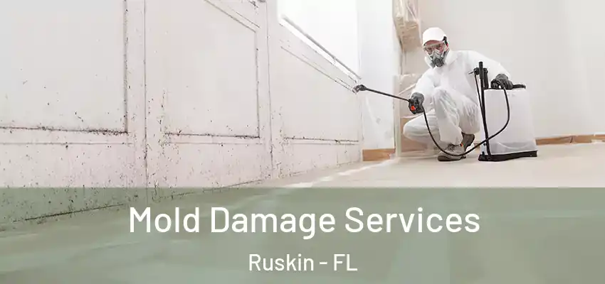 Mold Damage Services Ruskin - FL