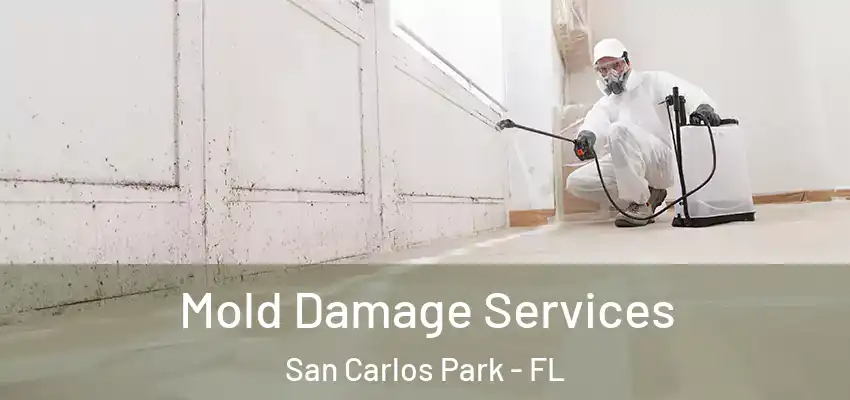  Mold Damage Services San Carlos Park - FL