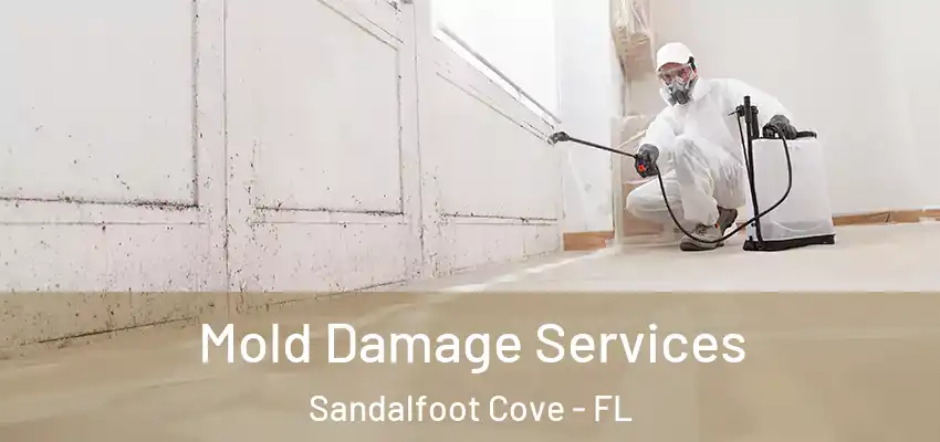  Mold Damage Services Sandalfoot Cove - FL