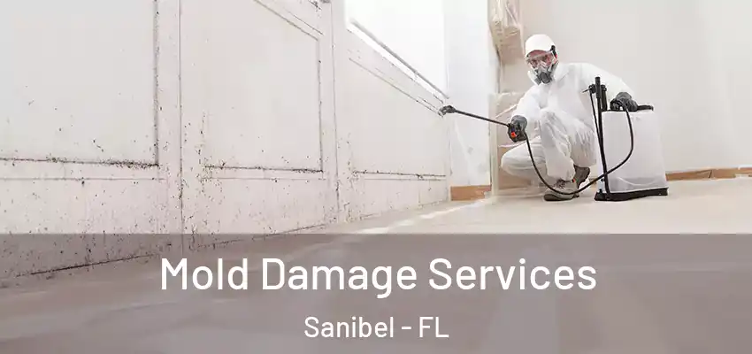 Mold Damage Services Sanibel - FL