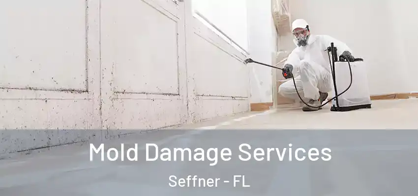 Mold Damage Services Seffner - FL