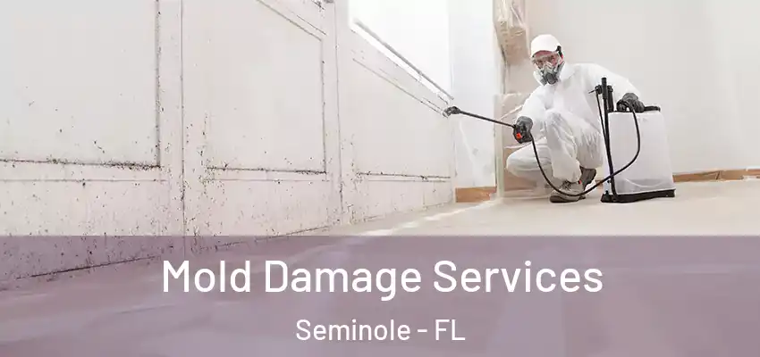 Mold Damage Services Seminole - FL