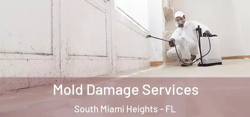 Mold Damage Services South Miami Heights - FL