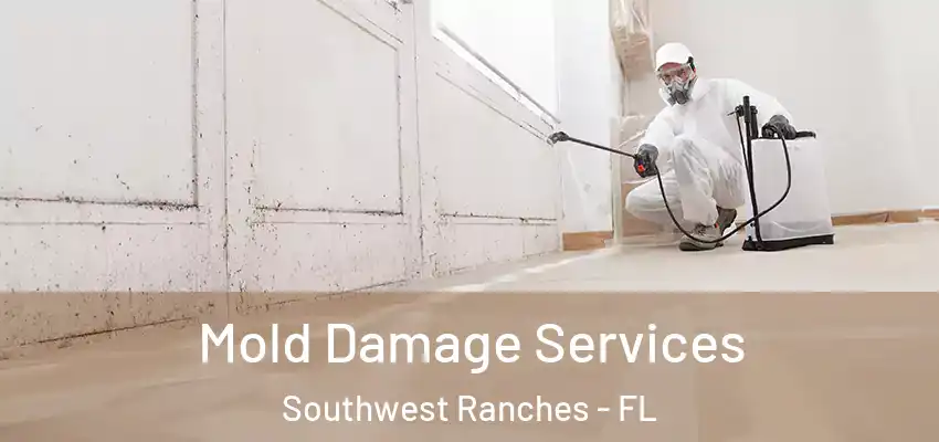  Mold Damage Services Southwest Ranches - FL