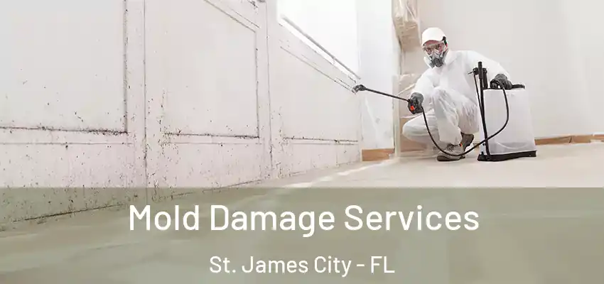 Mold Damage Services St. James City - FL