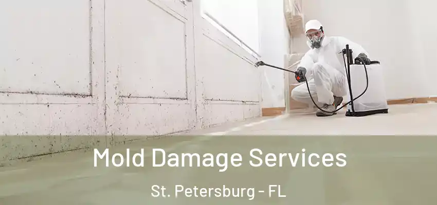  Mold Damage Services St. Petersburg - FL