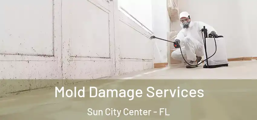  Mold Damage Services Sun City Center - FL