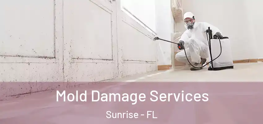 Mold Damage Services Sunrise - FL
