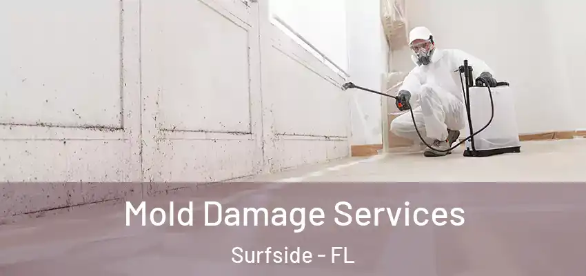Mold Damage Services Surfside - FL