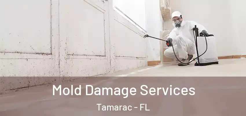  Mold Damage Services Tamarac - FL