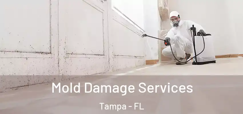 Mold Damage Services Tampa - FL