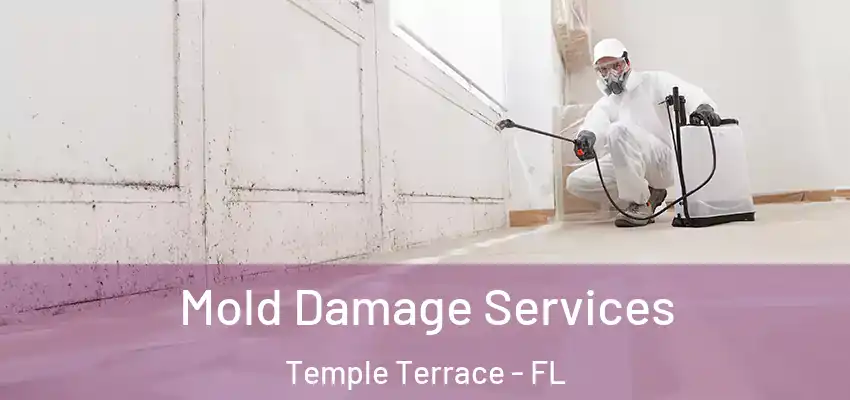 Mold Damage Services Temple Terrace - FL