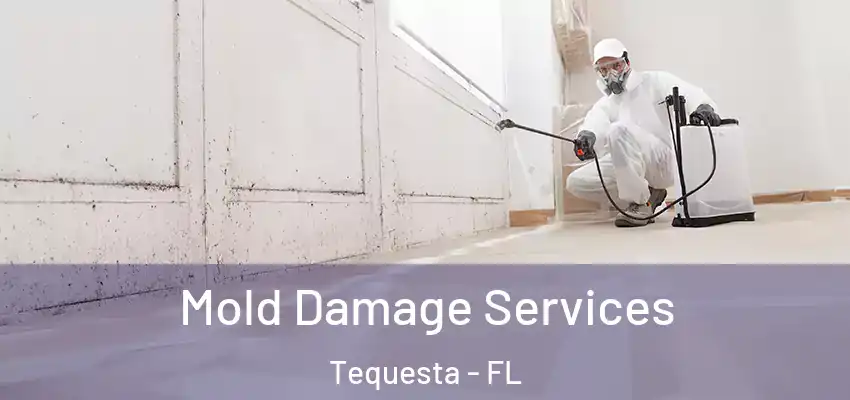 Mold Damage Services Tequesta - FL