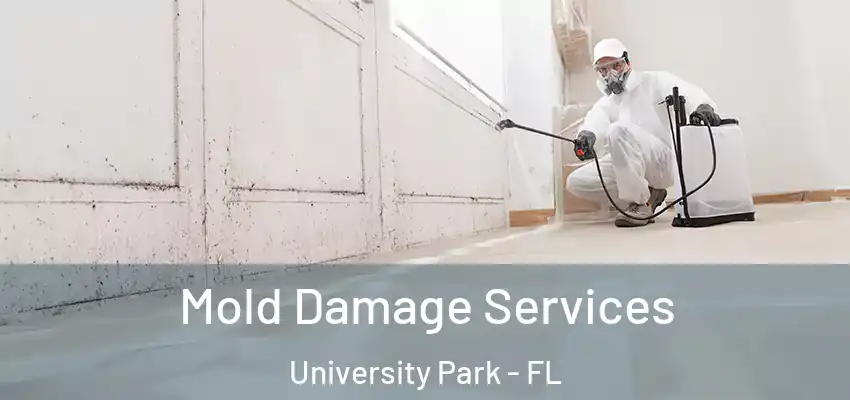 Mold Damage Services University Park - FL