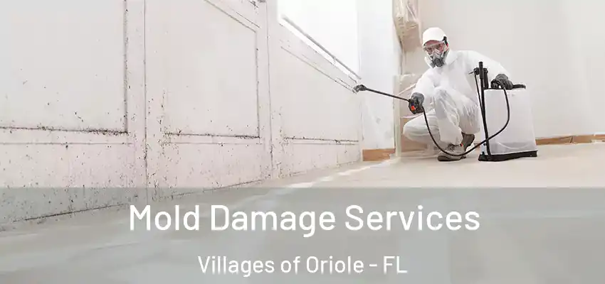 Mold Damage Services Villages of Oriole - FL