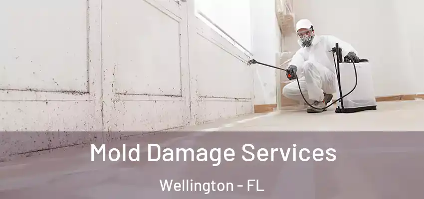  Mold Damage Services Wellington - FL