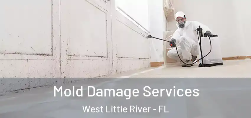  Mold Damage Services West Little River - FL