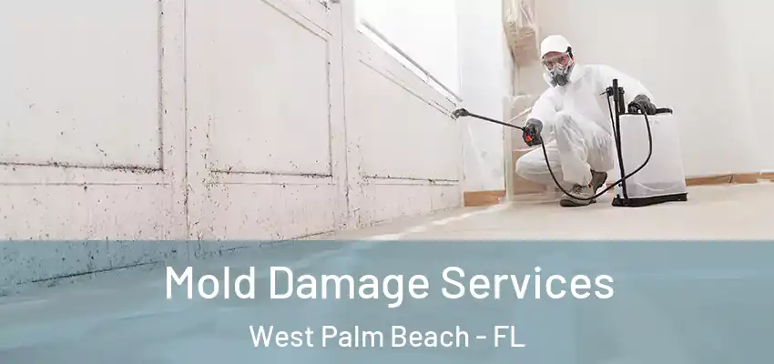  Mold Damage Services West Palm Beach - FL