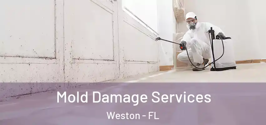  Mold Damage Services Weston - FL