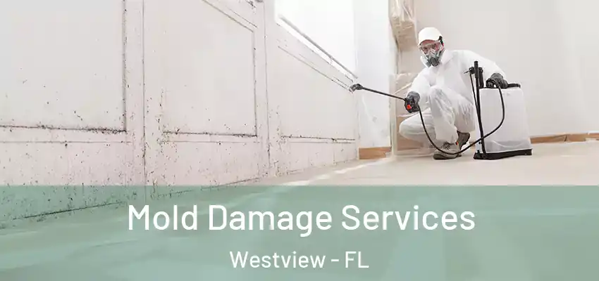 Mold Damage Services Westview - FL
