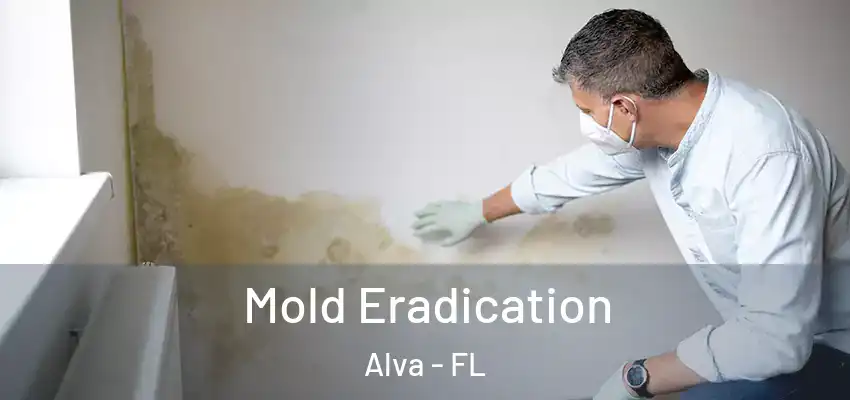 Mold Eradication Alva - FL
