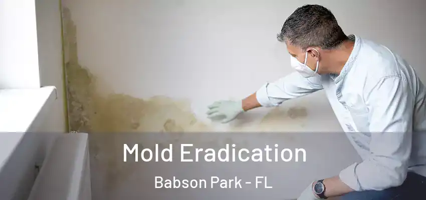  Mold Eradication Babson Park - FL