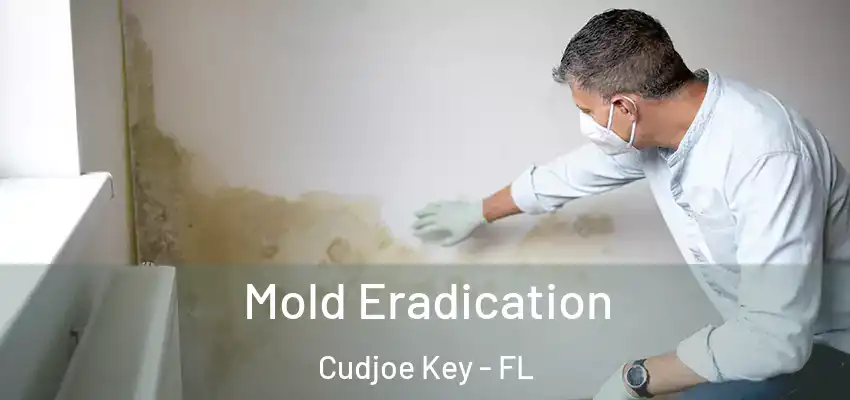  Mold Eradication Cudjoe Key - FL