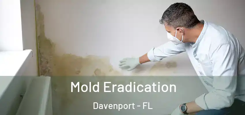  Mold Eradication Davenport - FL