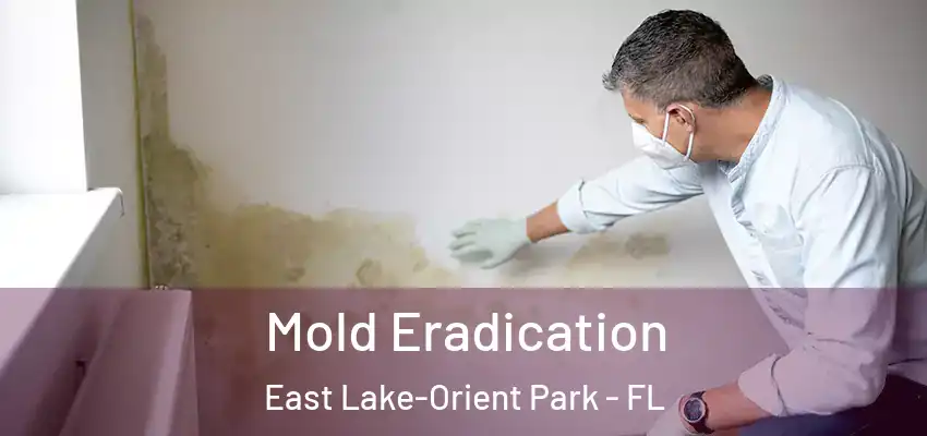 Mold Eradication East Lake-Orient Park - FL