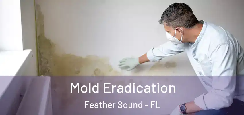 Mold Eradication Feather Sound - FL