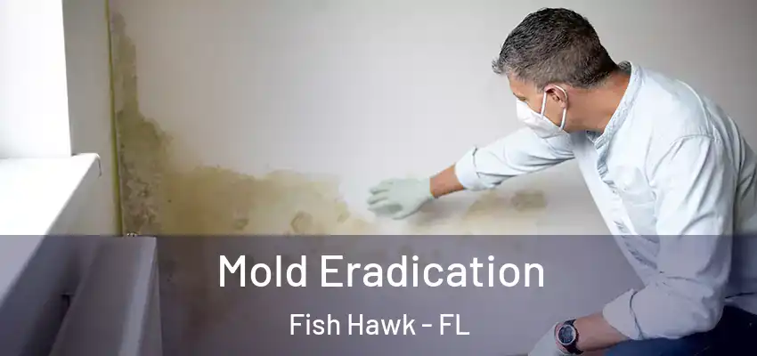 Mold Eradication Fish Hawk - FL