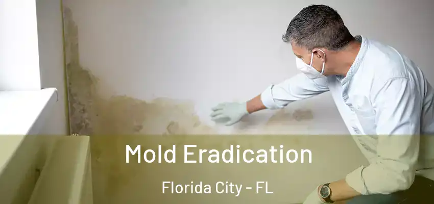 Mold Eradication Florida City - FL
