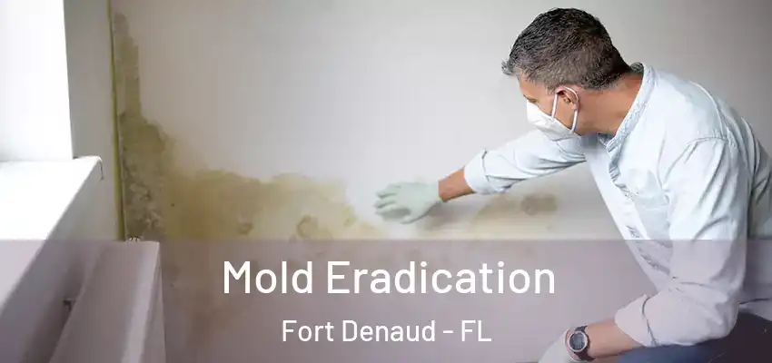 Mold Eradication Fort Denaud - FL