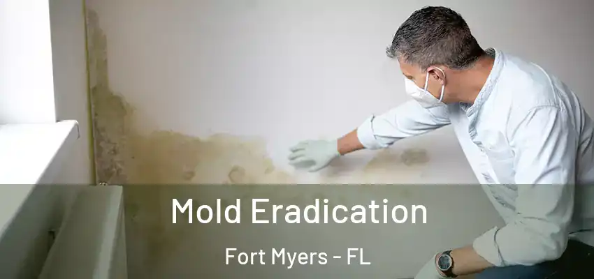 Mold Eradication Fort Myers - FL
