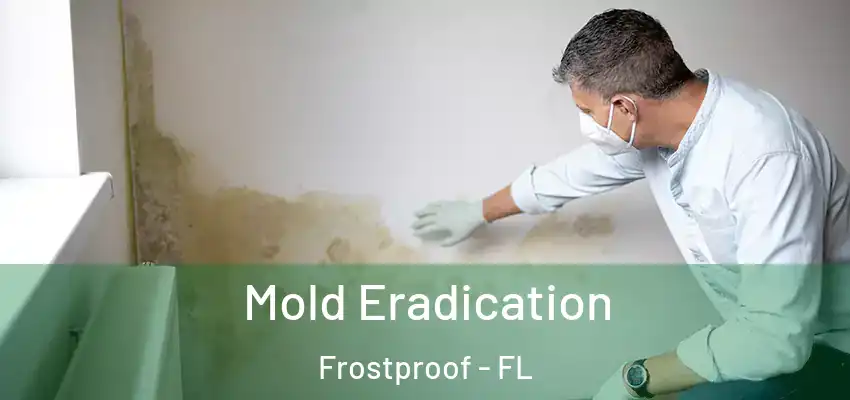 Mold Eradication Frostproof - FL
