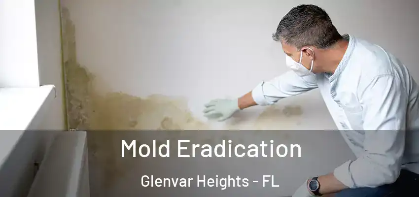  Mold Eradication Glenvar Heights - FL