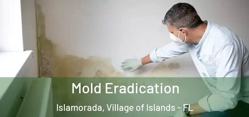 Mold Eradication Islamorada, Village of Islands - FL