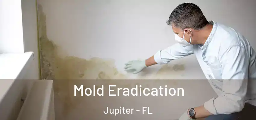 Mold Eradication Jupiter - FL