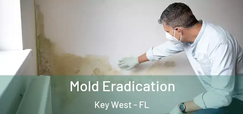 Mold Eradication Key West - FL