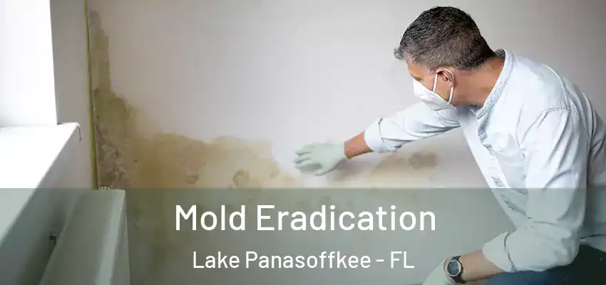 Mold Eradication Lake Panasoffkee - FL