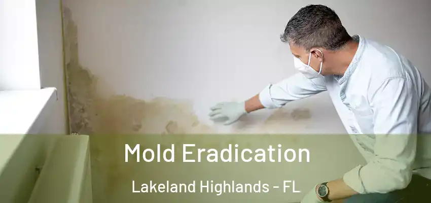 Mold Eradication Lakeland Highlands - FL