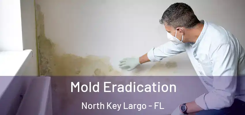  Mold Eradication North Key Largo - FL