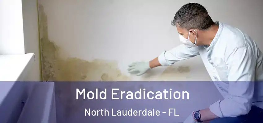 Mold Eradication North Lauderdale - FL