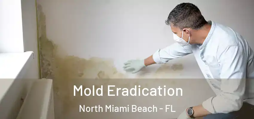 Mold Eradication North Miami Beach - FL