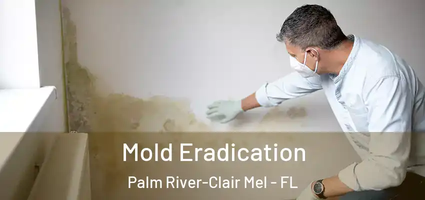  Mold Eradication Palm River-Clair Mel - FL