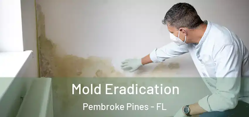 Mold Eradication Pembroke Pines - FL