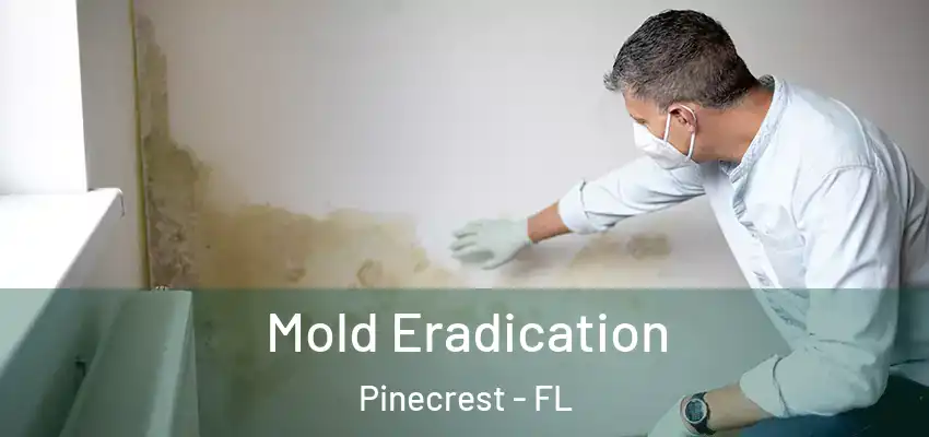 Mold Eradication Pinecrest - FL