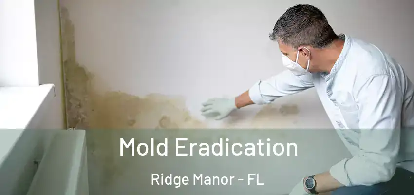 Mold Eradication Ridge Manor - FL